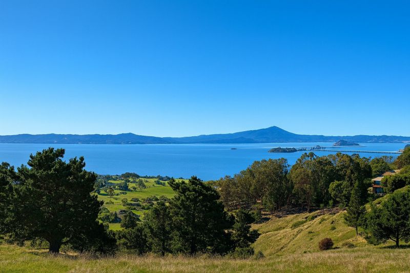 Hero for Home Services Options